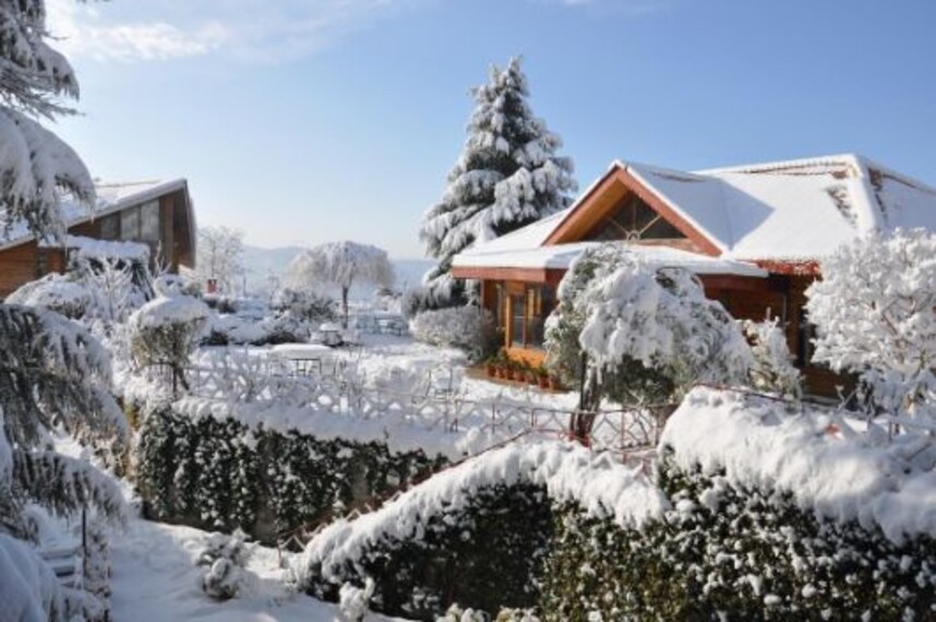 The Chalets Naldehra_1